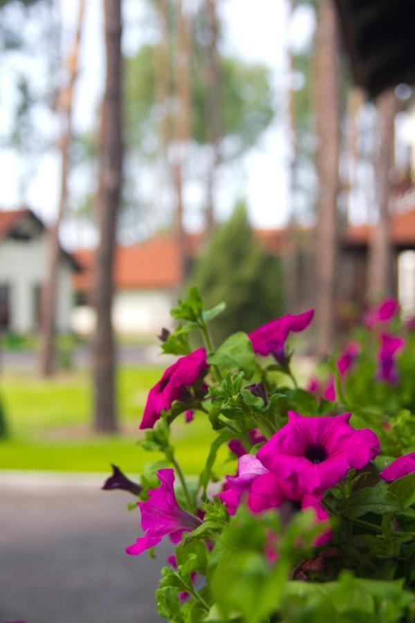 Park-Hotel Kidev Chubynske Екстериор снимка