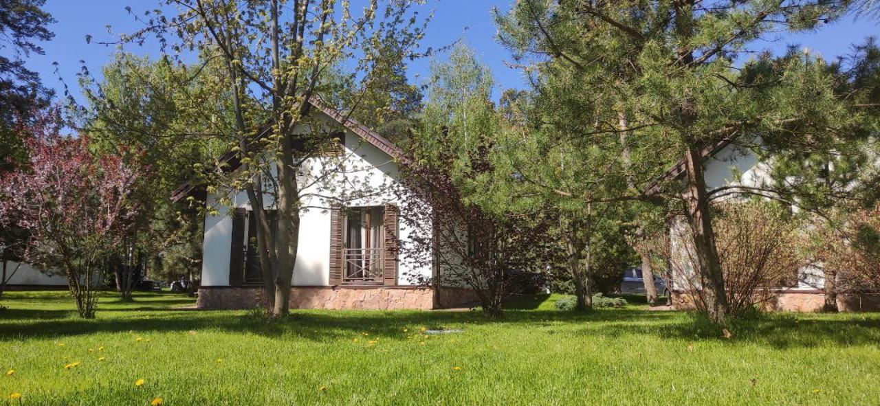 Park-Hotel Kidev Chubynske Екстериор снимка