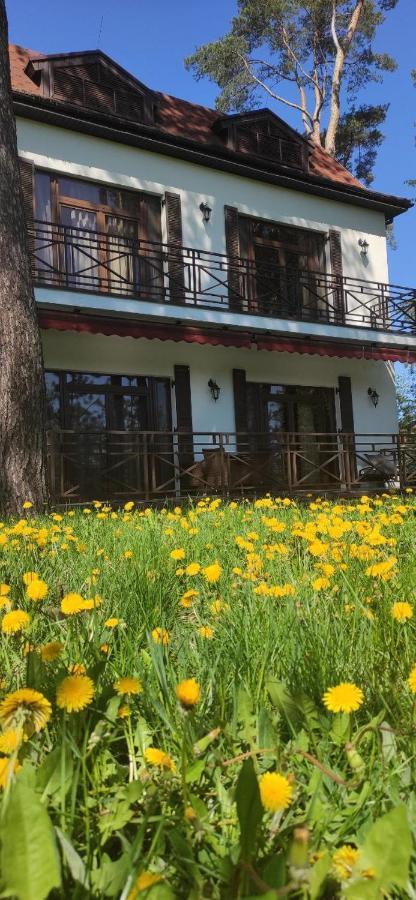 Park-Hotel Kidev Chubynske Екстериор снимка