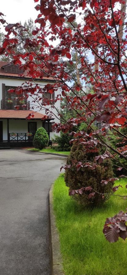 Park-Hotel Kidev Chubynske Екстериор снимка