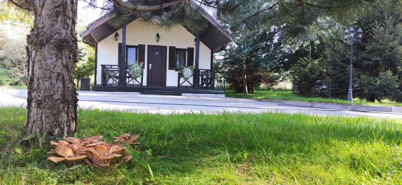 Park-Hotel Kidev Chubynske Екстериор снимка