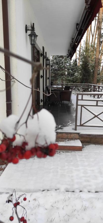 Park-Hotel Kidev Chubynske Екстериор снимка